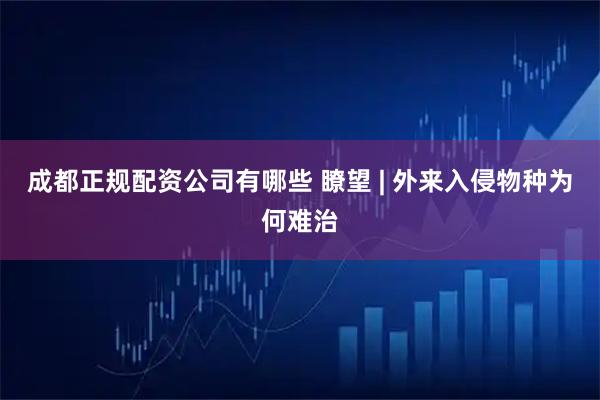 成都正规配资公司有哪些 瞭望 | 外来入侵物种为何难治