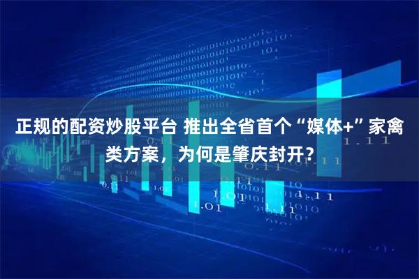正规的配资炒股平台 推出全省首个“媒体+”家禽类方案，为何是肇庆封开？