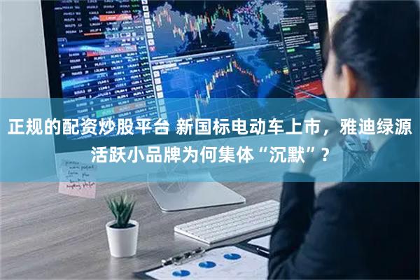 正规的配资炒股平台 新国标电动车上市，雅迪绿源活跃小品牌为何集体“沉默”？