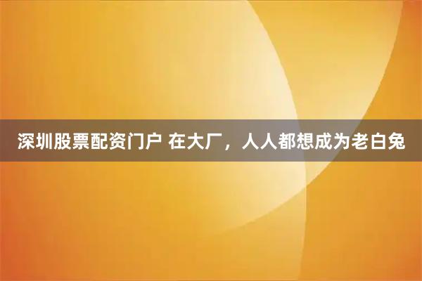 深圳股票配资门户 在大厂，人人都想成为老白兔