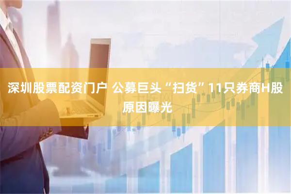 深圳股票配资门户 公募巨头“扫货”11只券商H股 原因曝光